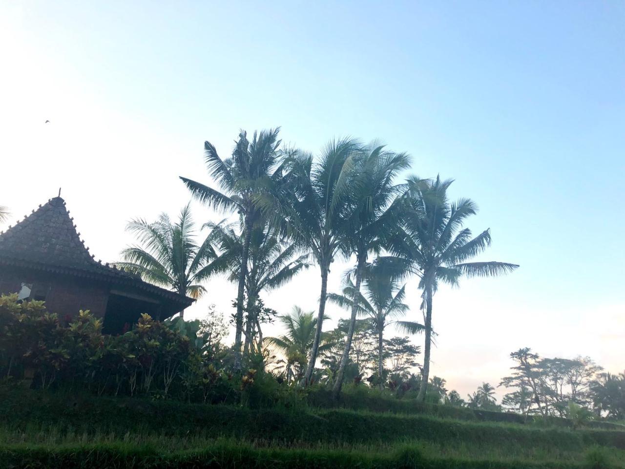 Villa Neyang Ubud Eksteriør bilde